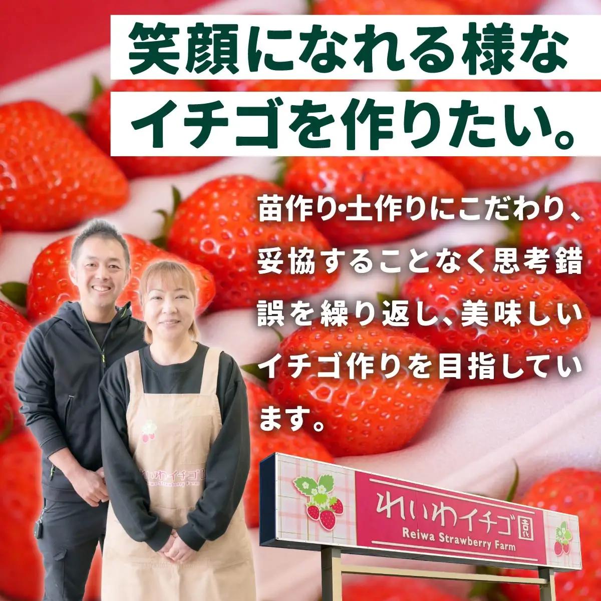 いちご 「やよいひめ」と「おすすめのいちご」 320ｇ×3トレー