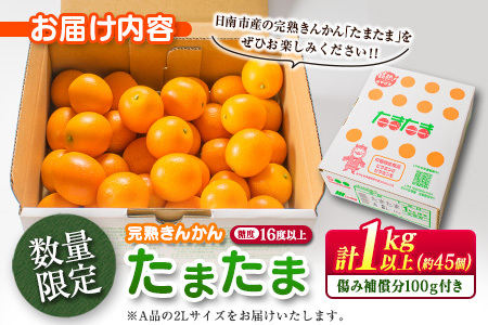 糖度16度以上 数量限定 完熟 きんかん たまたま 計1kg以上 傷み補償分付き 宮崎 期間限定 フルーツ 果物 くだもの ブランド 金柑 柑橘 令和8年発送 化粧箱入り 国産 食品 人気 おすすめ 