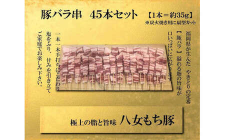 八女もち豚　豚バラ串45本盛りセット 豚肉 豚バラ 串 八女 豚 肉 お肉 セット 117-006
