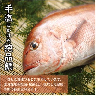 ふるさと納税 松浦市 まつよう(松浦養殖)太切りたい茶漬け6パック |  | 02