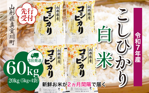 
            ＜令和7年産米先行受付＞ 真室川町産 こしひかり 【白米】 定期便 60kg （20kg×２ヶ月間隔で3回お届け）＜配送時期指定可＞
          