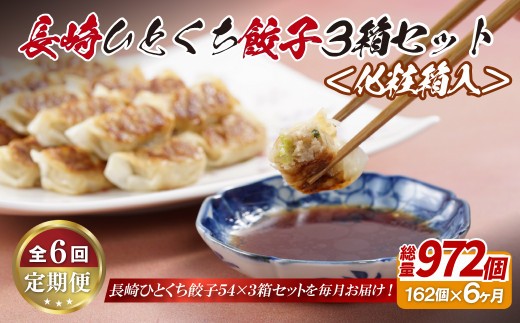 E317p 長崎ひとくち餃子162個(54個入を3箱)〈化粧箱入〉【6回定期便】