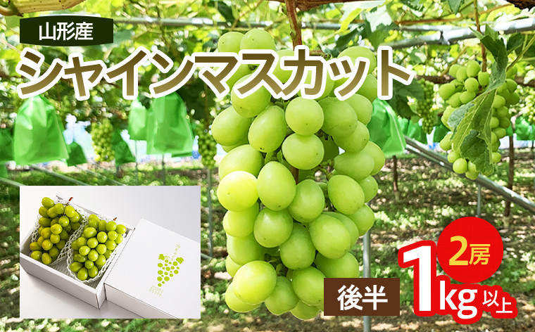 
山形市産 シャインマスカット 秀 約1kg以上(2房)[後半] 【令和6年産先行予約】FS23-038
