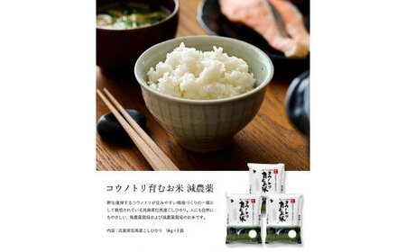 【令和5年産】コウノトリ育むお米減農薬【5kg×3袋】（94-004）