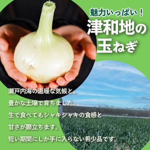 【先行予約】 津和地新玉ねぎ 5kg【津和地ブランド玉ねぎ】愛媛 松山 ブランド玉ねぎ 津和地島産 野菜 農家直送 期間限定【YMN002】