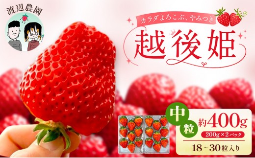 
                  【先行予約｜2027年4月上旬より出荷開始】いちご 中粒 カラダよろこぶ 越後姫 約200g×2パック (18～30粒入り) イチゴ 苺 定植後化学農薬不使用 渡辺農園 上越市 新潟県
                