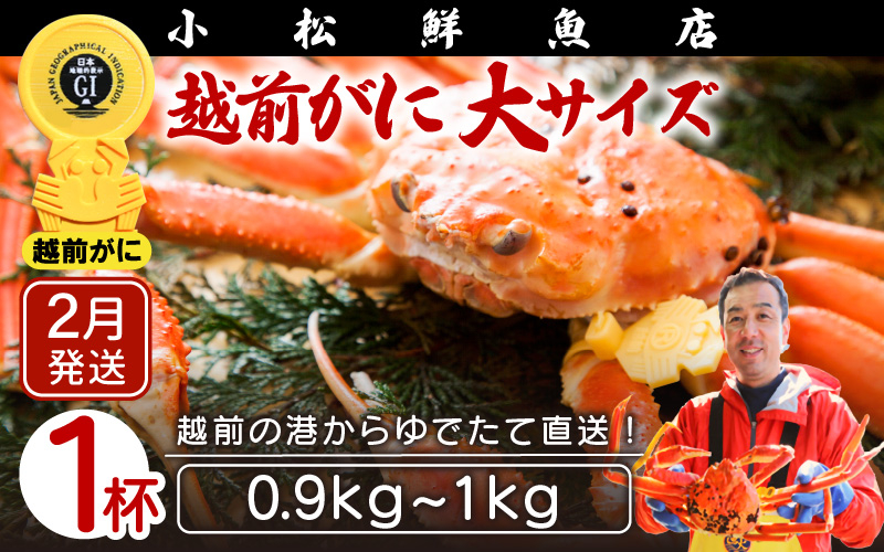 
            越前がに本場の越前町からお届け！ 越前がに 浜茹で 大サイズ（生で0.9～1kg） × 1杯【かに カニ 蟹】【福井県 越前町 雄 ズワイガニ ボイル 冷蔵 越前ガニ 越前かに 越前カニ ずわいがに ずわい蟹 かに カニ 蟹】【2月発送分】希望日指定可 備考欄に希望日をご記入ください [e23-x004_02]
          