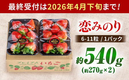 こば農園のこだわりいちご　恋みのり 約540g（約270g：6~11粒×2パック） 【合同会社 こば農園】[ZFO001]