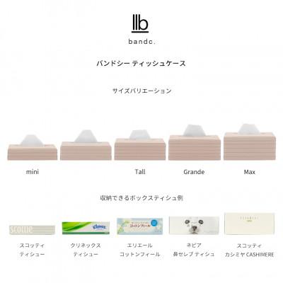 ふるさと納税 奥州市 心地よい暮らしをつくる ティッシュケース Max ライトピンク バンドシー [AR164] |  | 03