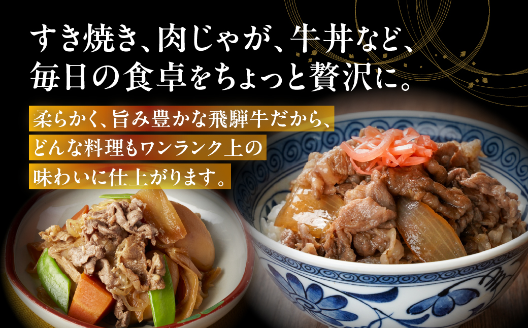【3回定期便】飛騨牛 A5 700g ちょっと良い 切り落とし 牛肉 和牛 700g × 3回