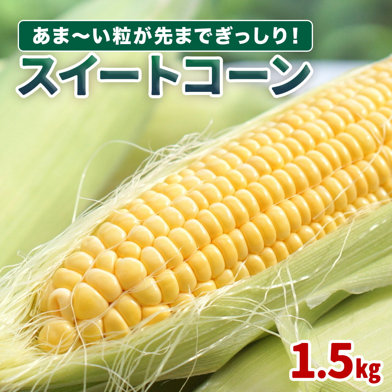 【ふるさと納税】 【先行受付】とうもろこし 結いの街の スイートコーン ( ゴールドラッシュ ) 4月 5月 6月 1.5kg | トウモロコシ コーン 野菜 やさい 夏 甘い 美味しい 鹿児島 大崎町