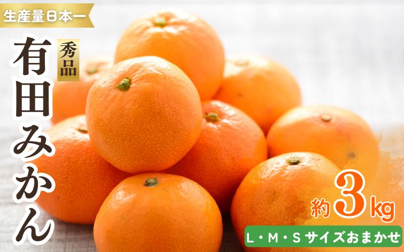 
            紀州有田みかん 秀品 ３kg（L・M・Sサイズおまかせ）　※2025年11月下旬～2026年1月中旬頃より順次発送予定【sml128A】
          