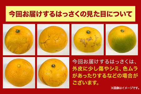 八朔 はっさく 【訳あり/サイズ】はっさく 約4kg (4L~Sサイズ) 不選別 早生･晩生指定不可 《2024年2月上旬-4月中旬頃出荷》和歌山県 紀の川市 産地直送 みかん 八朔 柑橘 果物 フル