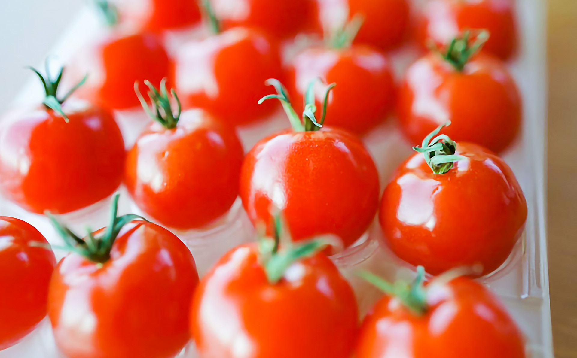 【アクアヴェルデAWAJI】旨味トマト　プチぷよ　60個