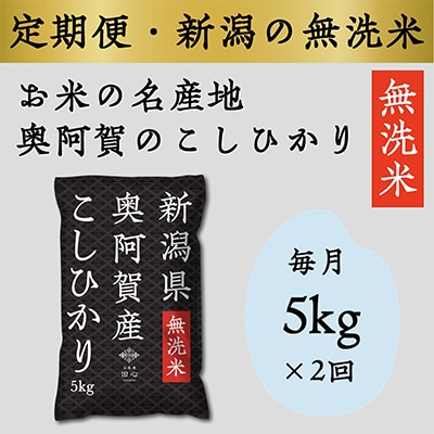 【毎月定期便】上旬無洗米5kg 全2回【4005645】
