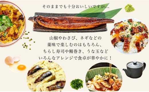 いろんなアレンジの鰻が楽しめる。