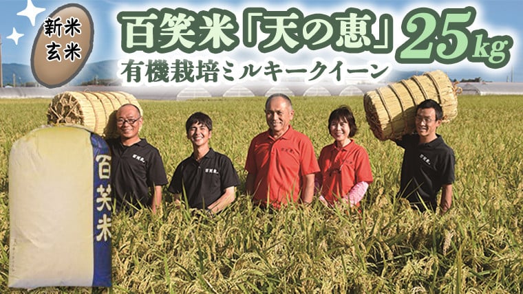 
            【 玄米 】百笑米 「 天の恵 」 有機栽培 ミルキークイーン 25kg R7年産 米 コメ 茨城県 単一米 [AC024ci]
          