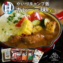 【ふるさと納税】 キャンプ飯 カレー味 セット 5品 アウトドア キャンプ 防災食 時短 ゴロっと塩さばカレー 佃煮 カレーの具 常温保存 焼津 a10-1021