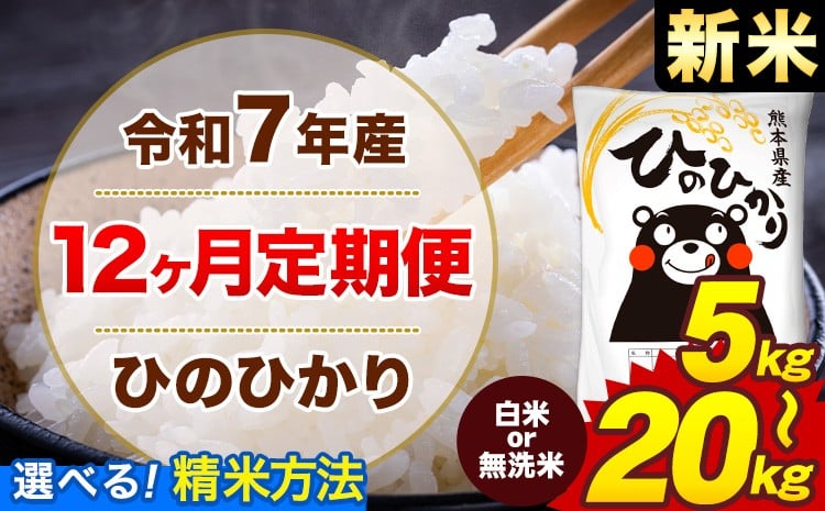 
            【12ヶ月定期便】新米 令和7年産 無洗米 も選べる 白米 米 ひのひかり 5kg 10kg 15kg 20kg《1月から出荷開始》熊本県 菊池市 国産 熊本県産 白米 精米 無洗米 送料無料 ヒノヒカリ こめ お米 
          