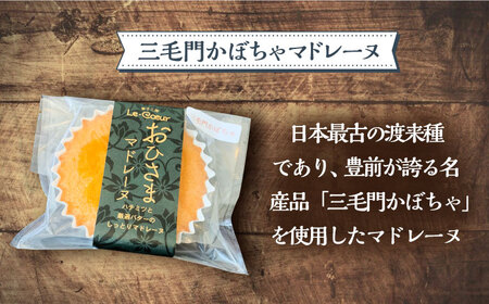 【全3回定期便】おひさまマドレーヌ12個詰め合わせ (おひさまマドレーヌ8個 三毛門かぼちゃマドレーヌ4個)[VBI015] お菓子 菓子 詰め合わせ 洋菓子