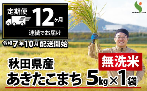 新米 【定期便12ヶ月】秋田県産あきたこまち(無洗米)5kg 900P9204 　/ 米 無洗米 5kg 白米 令和7年産 秋田県産 あきたこまち 5kg×1袋 おにぎり 大館 東北 秋田 小分け こわけ 大館市 5キロ 5ｷﾛ 5きろ