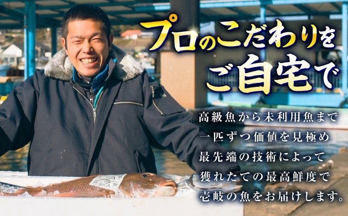 刺身 さしみ 贅沢 ご褒美 海鮮丼 お寿司 魚介 セット 食べ比べ 小分け お造