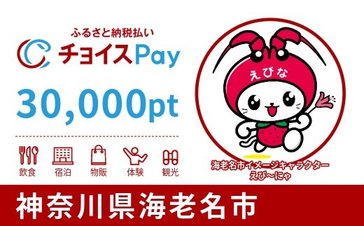 
                  海老名市チョイスPay 30,000pt【会員限定のお礼の品】
                
