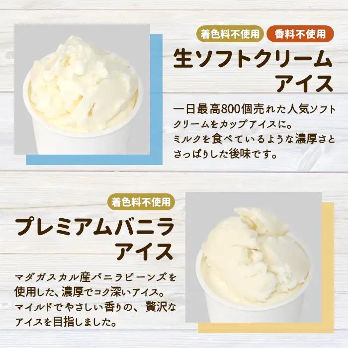 お中元 熨斗対応✿搾りたて生乳使用！生ソフトクリーム＆バニラアイス 7個入り お祝い アイスクリーム アイス ソフトクリーム お中元  根羽村 ネバーランド 6000円