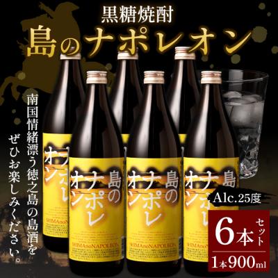 ふるさと納税 天城町 【鹿児島県天城町】奄美黒糖焼酎 島のナポレオン 900ml×6本セット 黒糖焼酎 瓶 計5.4L