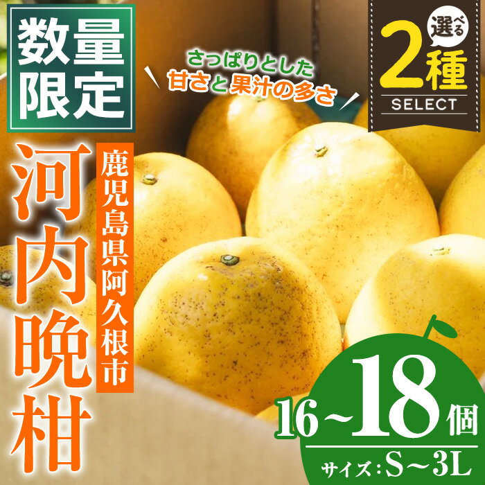 【ふるさと納税】＜先行予約受付中！2026年3月中旬以降順次発送予定＞＜サイズ・容量が選べる！＞数量限定！河内晩柑(S〜3L、16〜18個) 柑橘 フルーツ 果物 国産 みかん 期間限定【株式会社イロドリ】