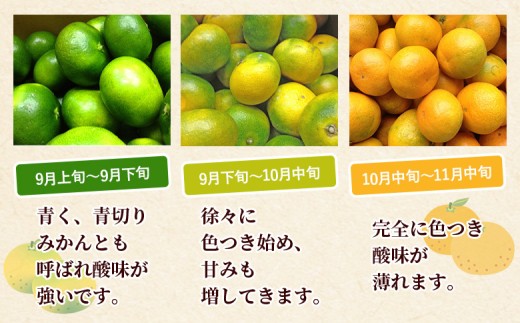 ＜愛媛産 訳あり 極早生みかん（サイズ混合）約5kg＞『2026年9月下旬から順次出荷予定』蜜柑 ミカン みかん 訳アリ ご家庭用 温州みかん 極早生 西宇和 果物 フルーツ 柑橘 国産 愛媛県産 西