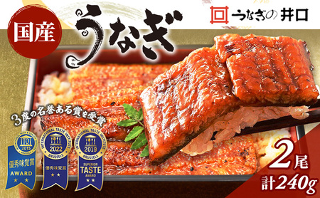 うなぎ 蒲焼き 2尾 120g×2尾 山椒 たれ 井口 うなぎ