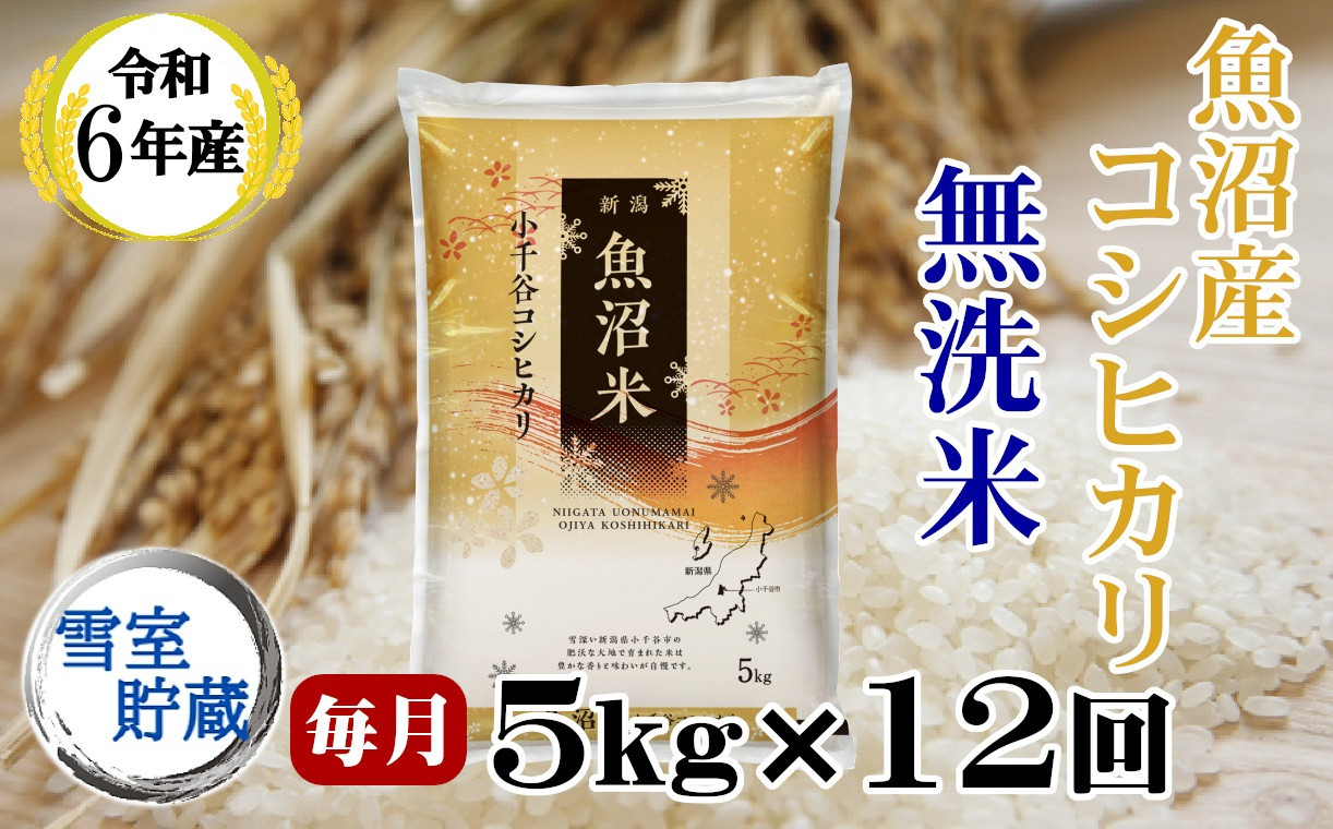 
ki192P372 【令和6年産 定期便】雪室貯蔵 魚沼産コシヒカリ 無洗米 5kg×12回コース（毎月お届け）魚沼 米 定期便
