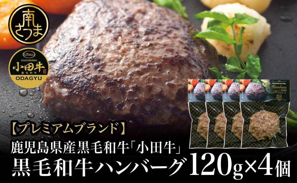 
【プレミアムブランド】鹿児島県産黒毛和牛「小田牛」 牛肉100％ ハンバーグステーキ 4個（120g×4） 牛肉 総菜 レトルト 黒毛和牛 小田畜産 冷凍 ギフト 贈答 南さつま市
