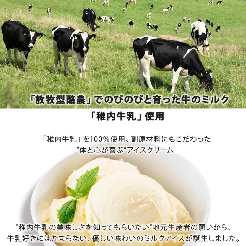 【 業務用 】 稚内牛乳 アイスクリーム 2L×2個 ( バニラ ＆ 宗谷の塩 ) と珍味ホッケ燻製【配送不可地域：離島・沖縄県】