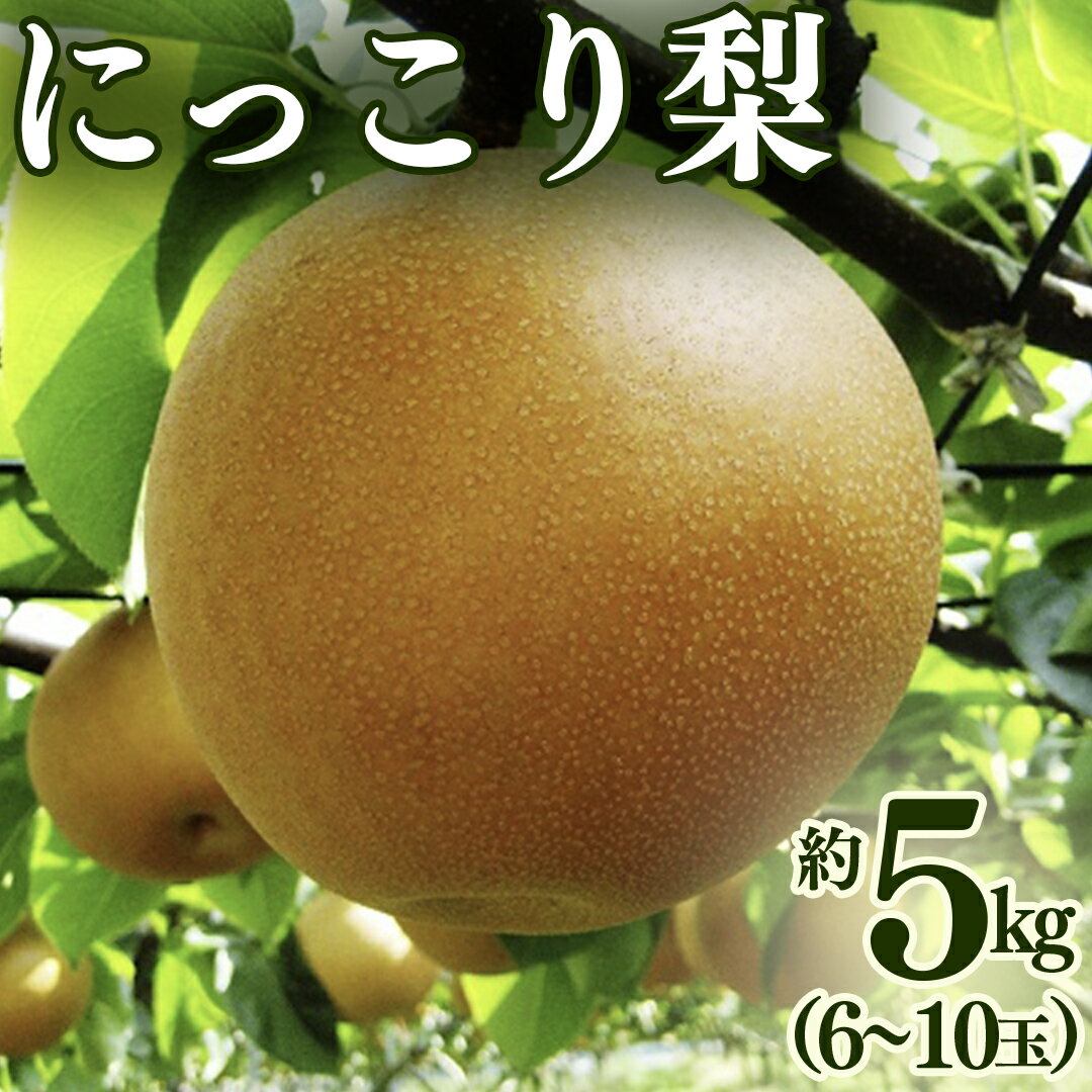 【ふるさと納税】にっこり梨 約 5kg （6～10玉） 2026年産 先行予約 梨 果物 フルーツ なし ナシ にっこり くだもの デザート 茨城