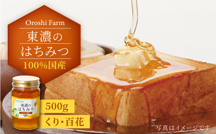 
100％国産岐阜の豊かな自然で取れた東濃のはちみつ 500g（くり） 非加熱 天然 国産 [MAB003]
