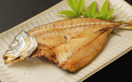 いずま海産定期便【年６回お届け】 _iz004