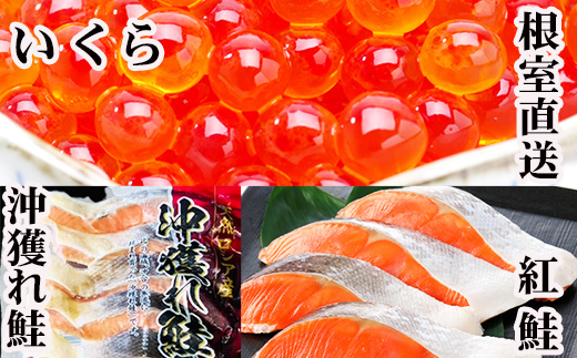 
                  E-36002 甘塩紅鮭5切×10P、甘塩沖獲れ鮭5切×10P、いくら醤油漬け100g×5P
                