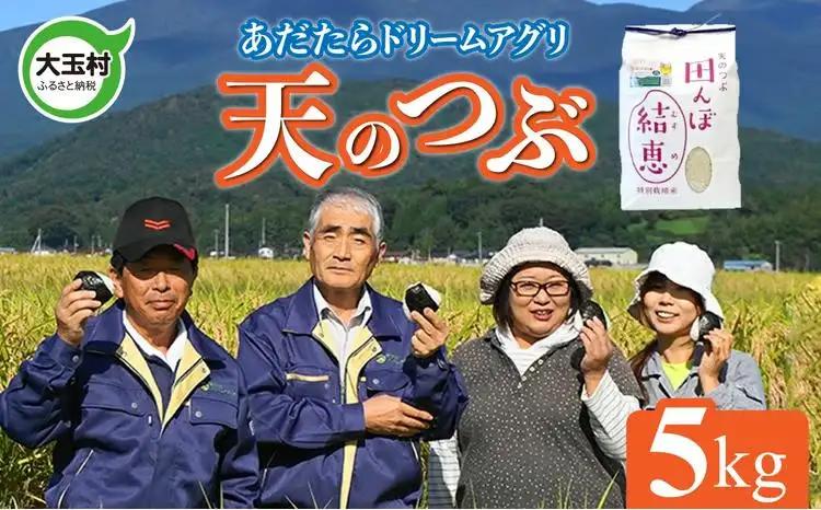 特別栽培米 5kg 白米 天のつぶ 特別栽培米 精米