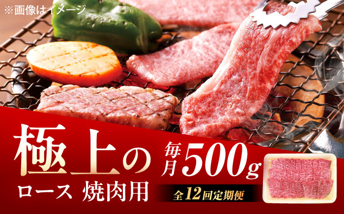 【12回定期便】佐賀牛 ロース 焼肉用 500g /MKミート武雄 [UEM057]