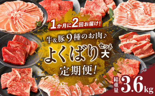 ≪定期便≫＼1か月に2回お届け!!／牛＆豚!!９種のお肉よくばりセット(大)【総重量3.6kg】 肉 牛 牛肉 おかず 国産_T030-151