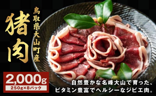 
GB-04 猪肉 2kg 250g×8パック
