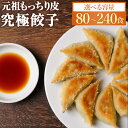 宮崎餃子 餃子の馬渡 もっちり 餃子 80個