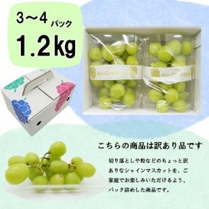 【2024年先行受付】池田青果のパックシャインマスカット 1.2kg(3～4パック)【配送不可地域：離島】【1376589】