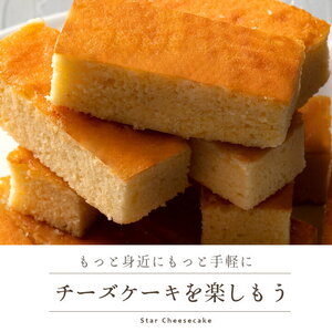 ふわふわ触感ブルーチーズ スターチーズケーキバー10本セット