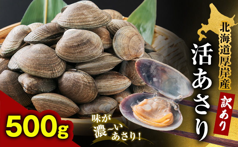 訳あり 北海道 厚岸産 砂出し済み 活あさり 500g×1【厚岸海産】[ アサリ 魚貝 海鮮 大粒 美味しい 栄養 旨み 砂出し 水洗い 冷蔵 便利 ]