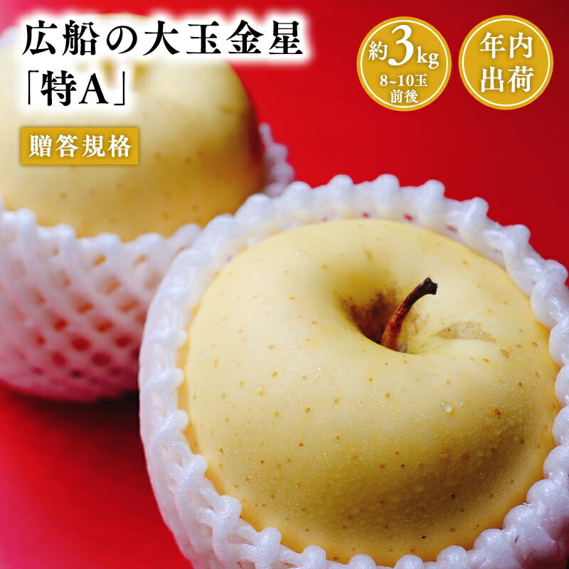 【ふるさと納税】≪年内発送≫青森県産 贈答規格 広船の大玉金星 約3kg「特A」【青森県 平川市 広船アップルクラブ】贈答 大玉 金星 広船 年内 青森 青森県 平川 りんご リンゴ 林檎 くだもの 果物 フルーツ レビューキャンペーン