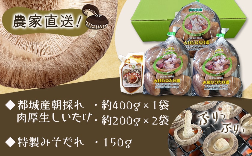 朝採れ肉厚生しいたけと特製みそだれ_AA-8701