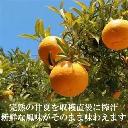 お鍋にはこれ!湯浅醤油を使用した「夏みかんポン酢」3本【1568880】
